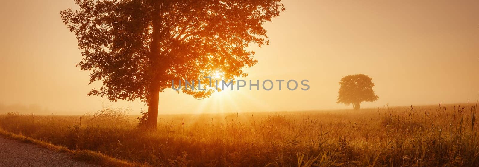 Sunrise on field in the foggy morning. Tranquil scene in natural park.