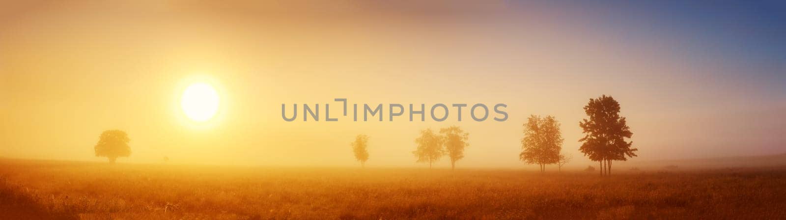 Sunrise on field in the foggy morning. Tranquil scene in natural park.