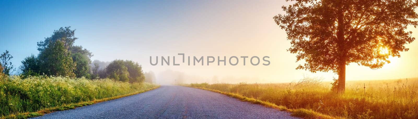 Sunrise in the foggy morning on the empty asphalt country road. Tranquil scene in natural park.