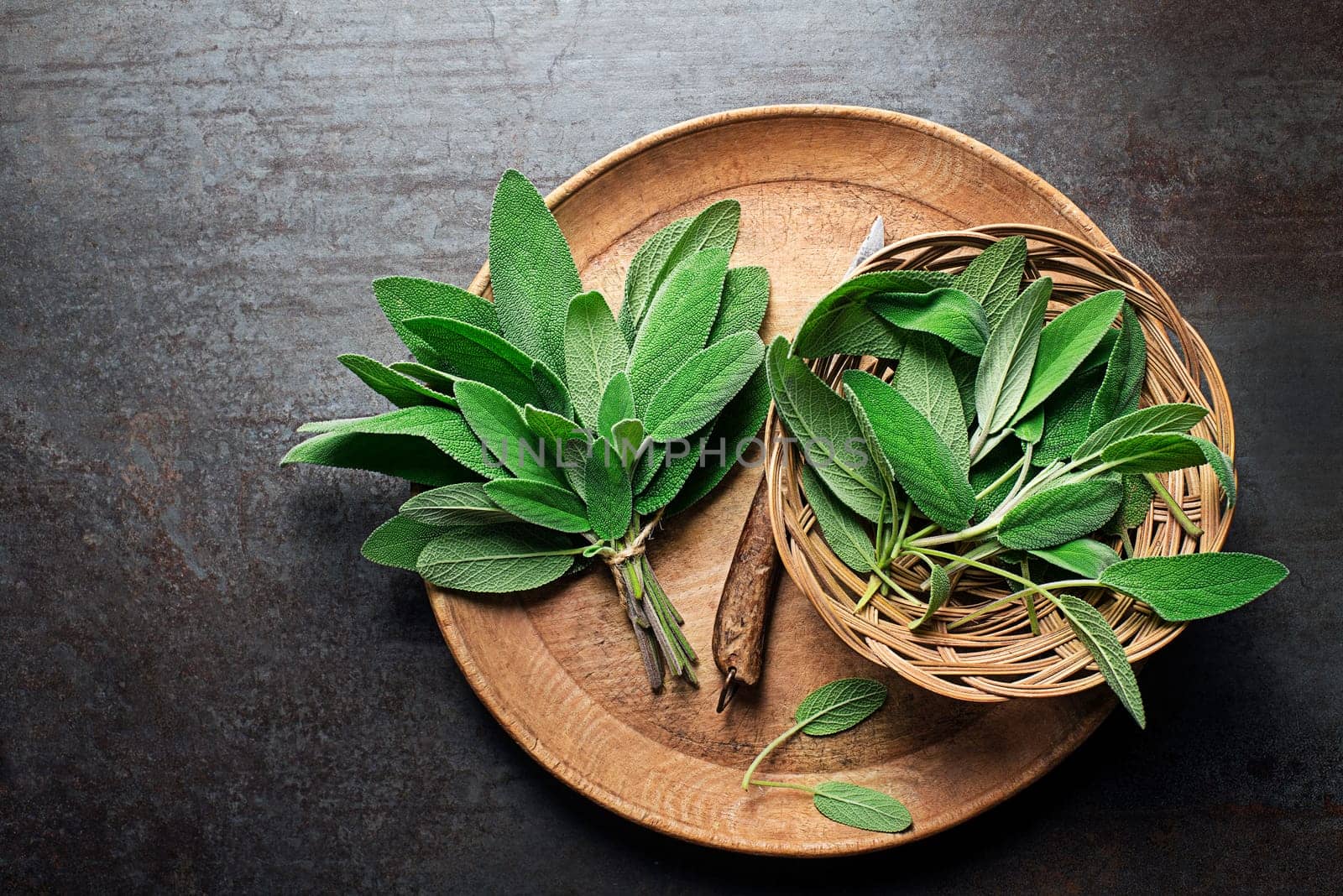 Sage leaves in plate. Freshly picked sage leaves from the home garden. Medicinal herbs.