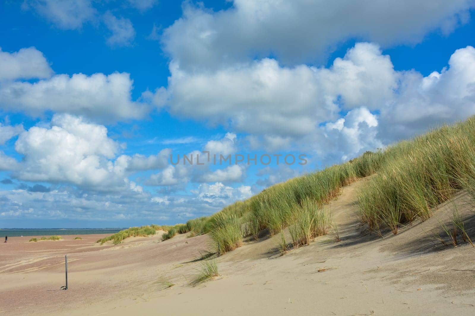 Sea and sand dunes on the North Sea coast in the Netherlands on the island of Schouwen-Duiveland