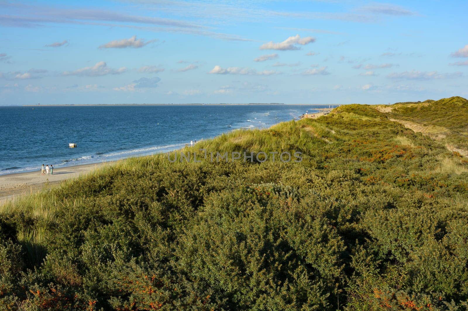 Sea and sand dunes on the North Sea coast in the Netherlands on the island of Schouwen-Duiveland