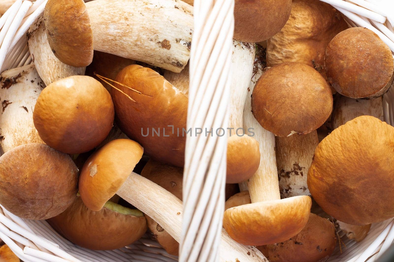 White wicker basket with boletus mushrooms. Top view.