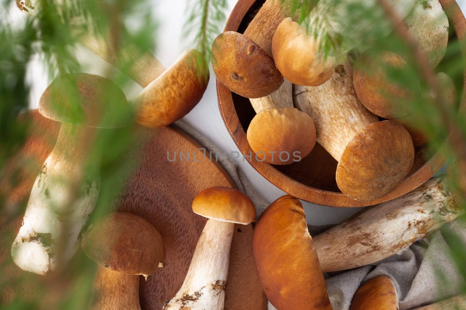 Brown boletus mushrooms on the background of a wooden tray. Top view.