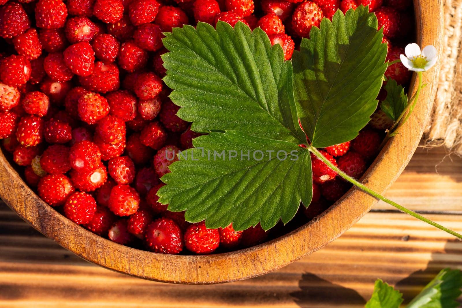 A wooden bowl of red ripe wild strawberries and flowers on an old wooden surface. Top view.