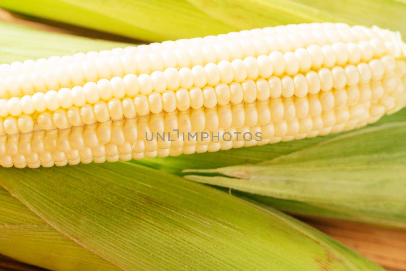 One sweet yellow raw milk corn ear cobs maize with white granule green fresh ingredient product. Lie on wooden background table. Green juicy leafy streaks. Side cooking preparing dish. Close up