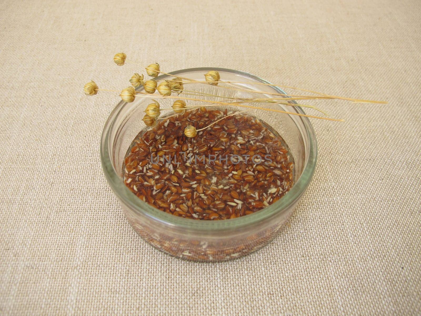 Brown flax seeds soaked in water