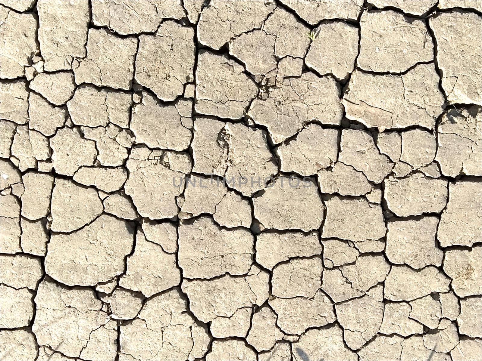 Desert texture. Dry cracked earth and sand. Deep cracks pierce the soil. Natural background.