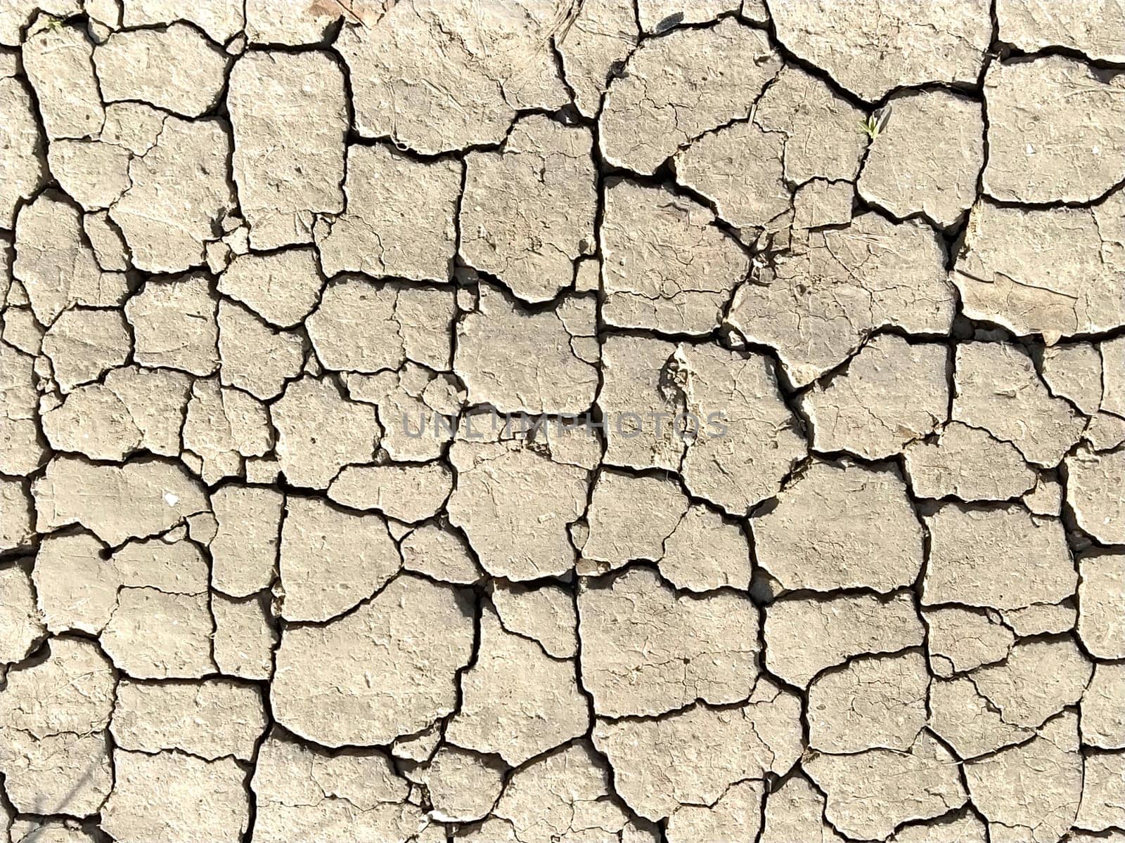 Desert texture. Good for background. Dry cracked earth and sand. Deep cracks pierce the ground.