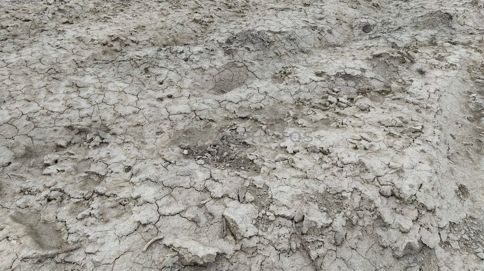 Wet, fertile land. Clay soil. Preparing the land for planting. Agricultural and natural theme. Clay, furrows, hay on the field