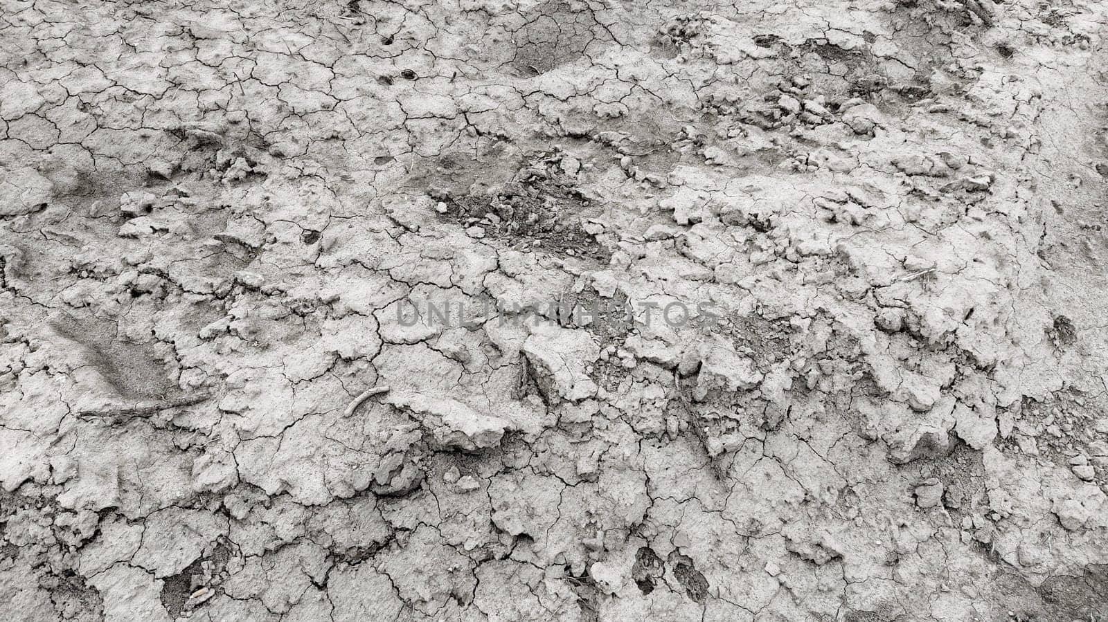 Wet, fertile land. Clay soil. Preparing the land for planting. Agricultural and natural theme. Clay, furrows, hay on the field