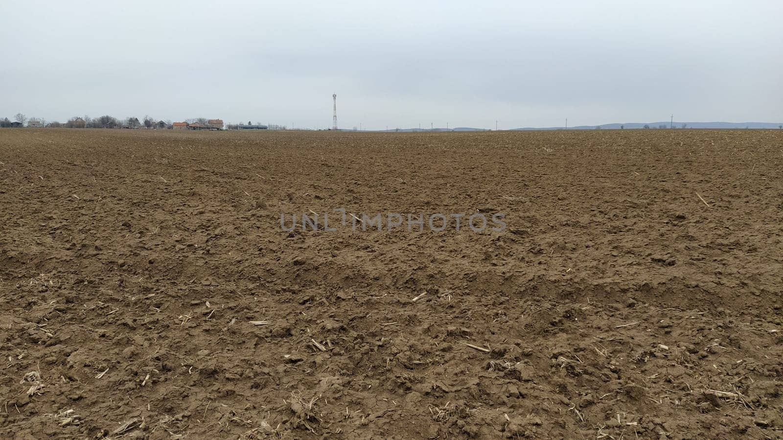 Oilcake remaining after harvesting corn on the ground. Clay, furrows, hay on the field. Wet, fertile land. Clay soil. Preparing the land for planting. Agricultural and natural theme