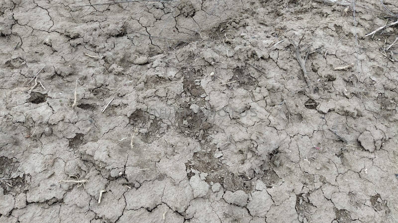Wet, fertile land. Clay soil. Preparing the land for planting. Agricultural and natural theme. Clay, furrows, hay on the field