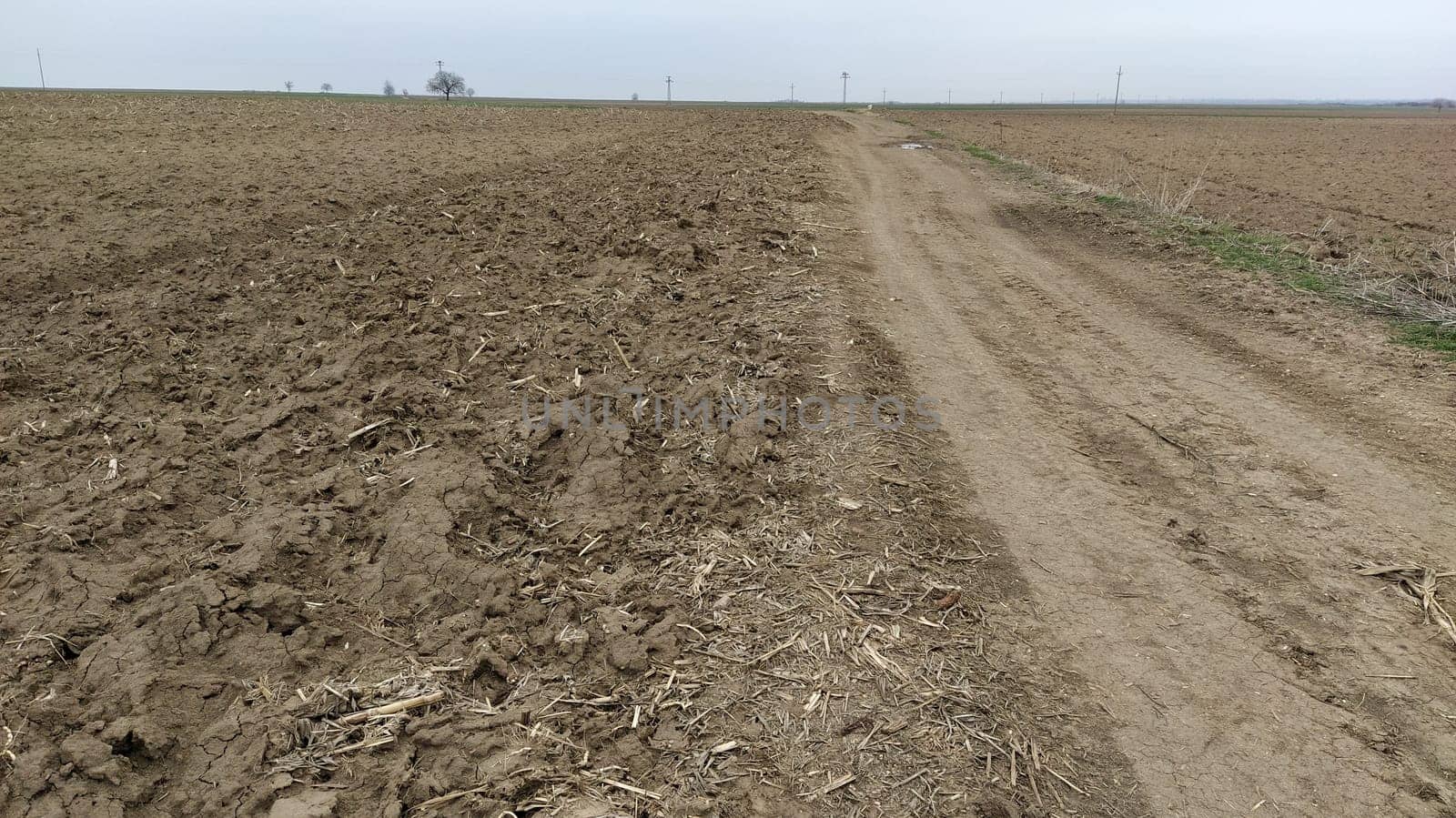 Plowed field. Arable land with fertile soil for planting crops. Rural landscape in Serbia, in the Balkans. Furrows and pits. On the right side is a dirt road. Panoramic view.