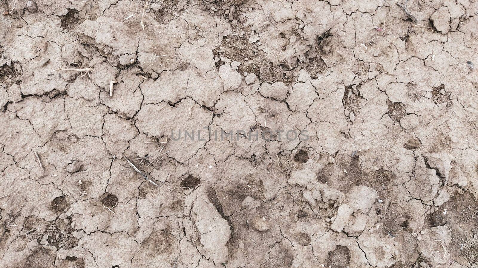 Wet, fertile land. Clay soil. Preparing the land for planting. Agricultural and natural theme. Clay, furrows, hay on the field