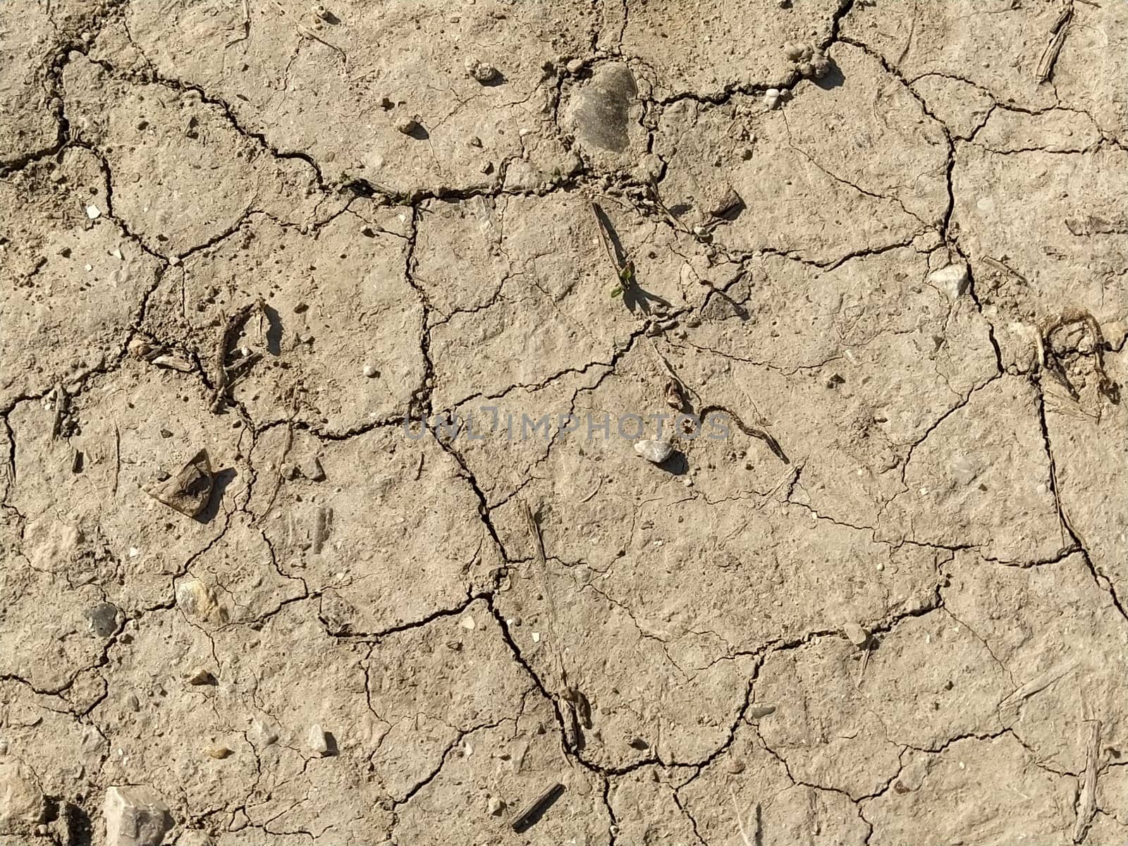 Dry clay cracked earth. The soil is light beige. Drought and climate change. Dry mud. Background texture. Banner. Particles of grass, stones and road dust.