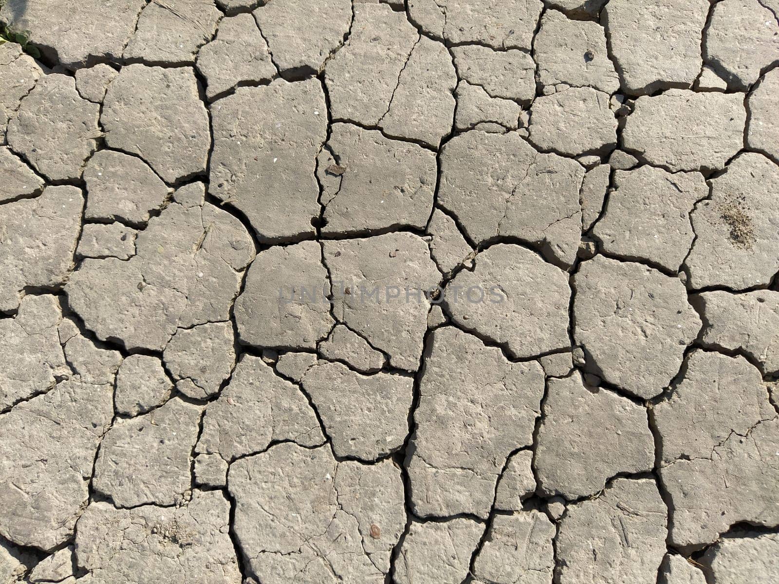 Cracks in the ground. Aridity. Gray soil. Desert. Close up of cracked mud. Texture.