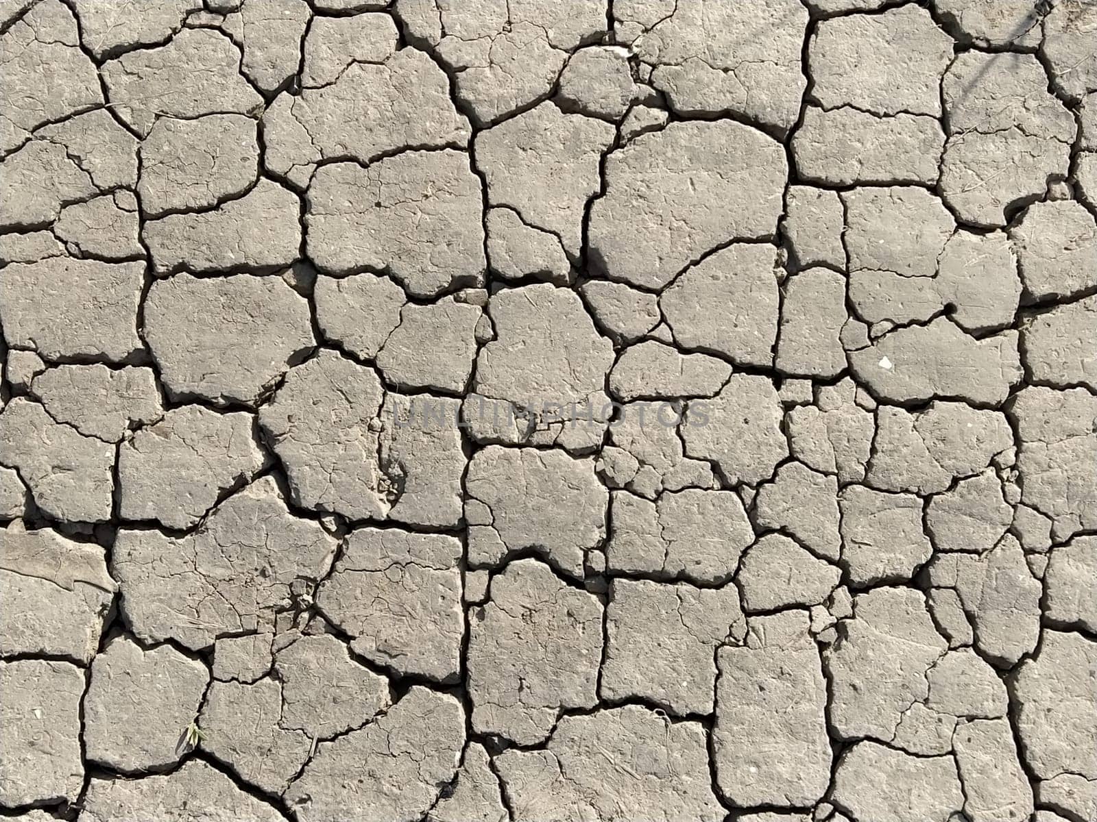 Cracks in the ground. Aridity. Gray soil. Desert. Close up of cracked mud. Texture.