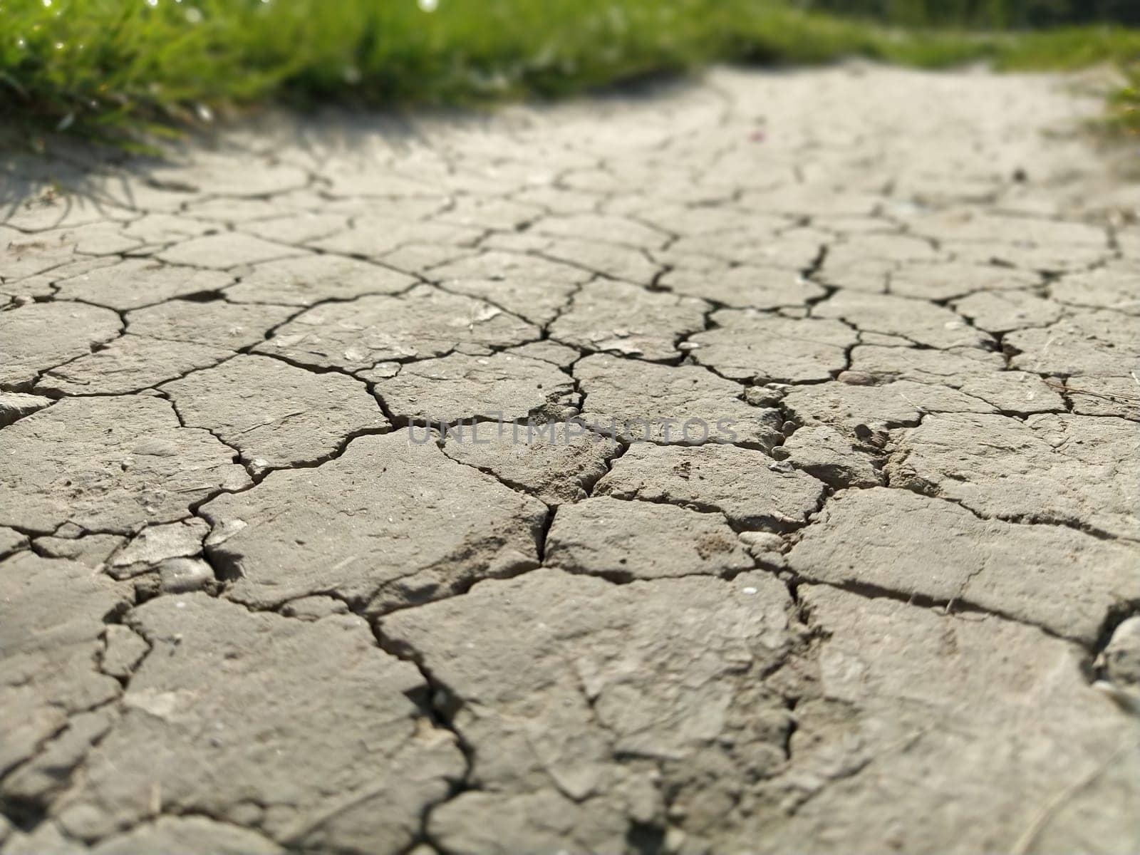 Cracked Sidewalk in Urban Area. Cracked dirt road with cracks in the clay structure of the soil. On the sides of the photograph are defocused green plants. Soft focus.
