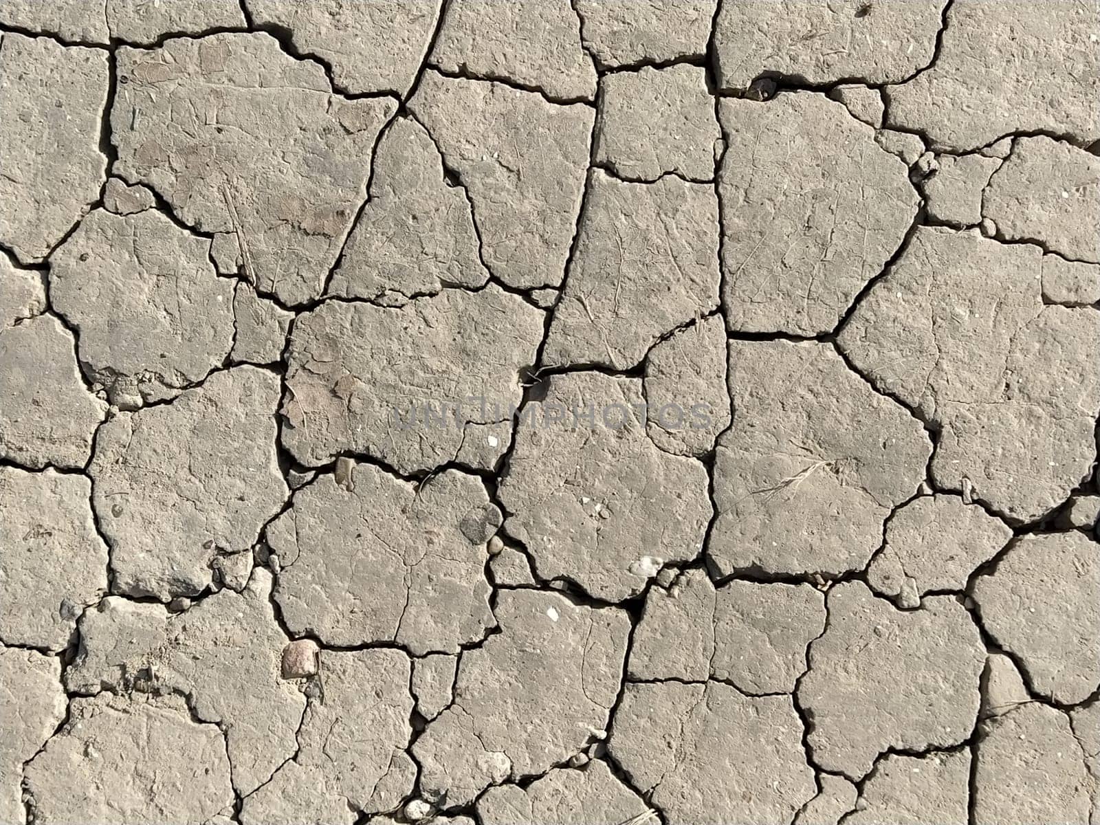 Cracks in the ground. Aridity. Gray soil. Desert. Close up of cracked mud. Texture.