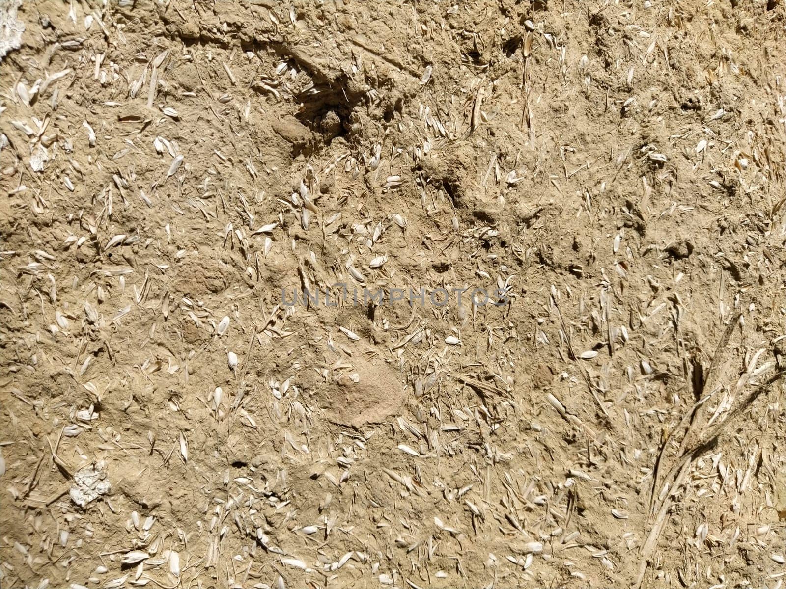 Close-up background of the wall of an old house made of clay mixed with straw. Old type of construction. Clay wall of straw and mud. Manure mixed with clay and dried as building material.