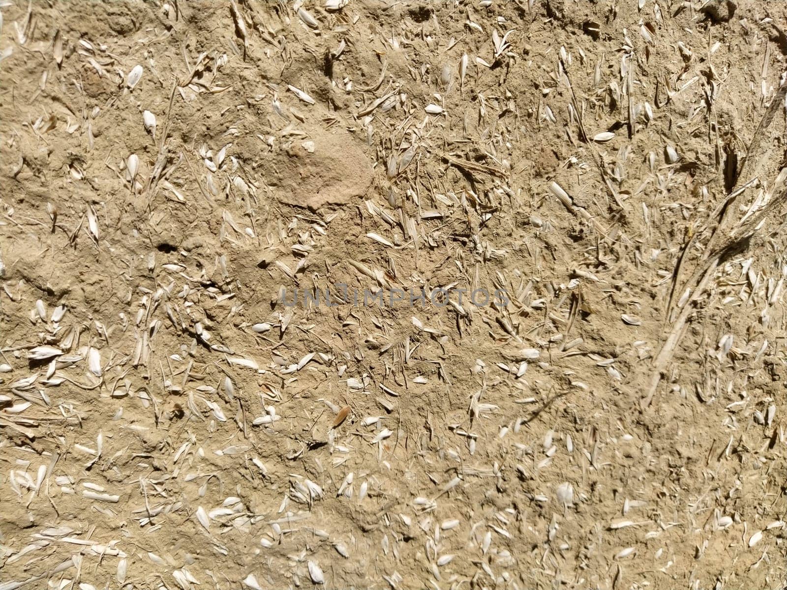 Close-up background of the wall of an old house made of clay mixed with straw. Old type of construction. Clay wall of straw and mud. Manure mixed with clay and dried as building material.