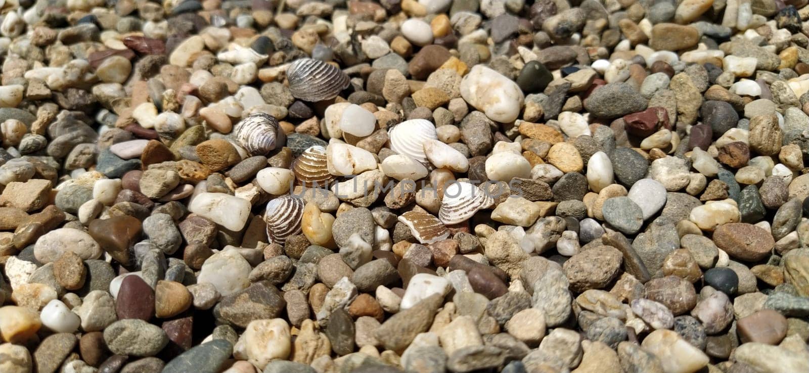 assorted colorful and smooth pebbles from the beach. Banner. Small and large gravel. Natural background.