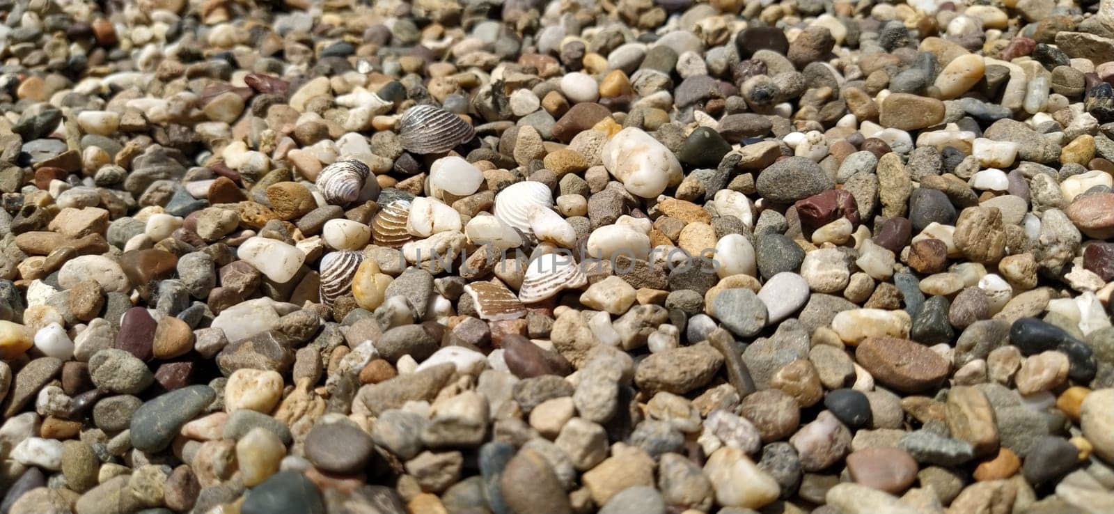 assorted colorful and smooth pebbles from the beach. Banner. Small and large gravel. Natural background.