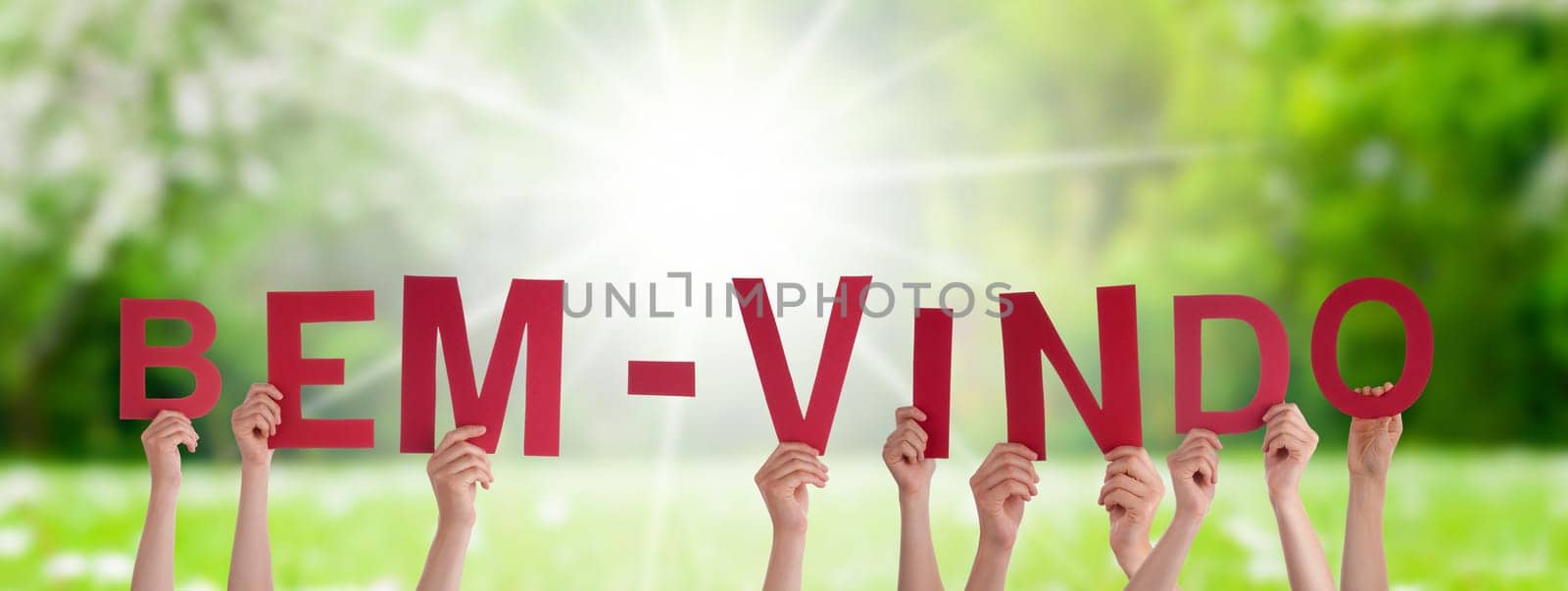 People Or Persons Hands Building Portuguese Word Bem-Vindo Means Welcome. Sunny Green Grass Meadow As Background.