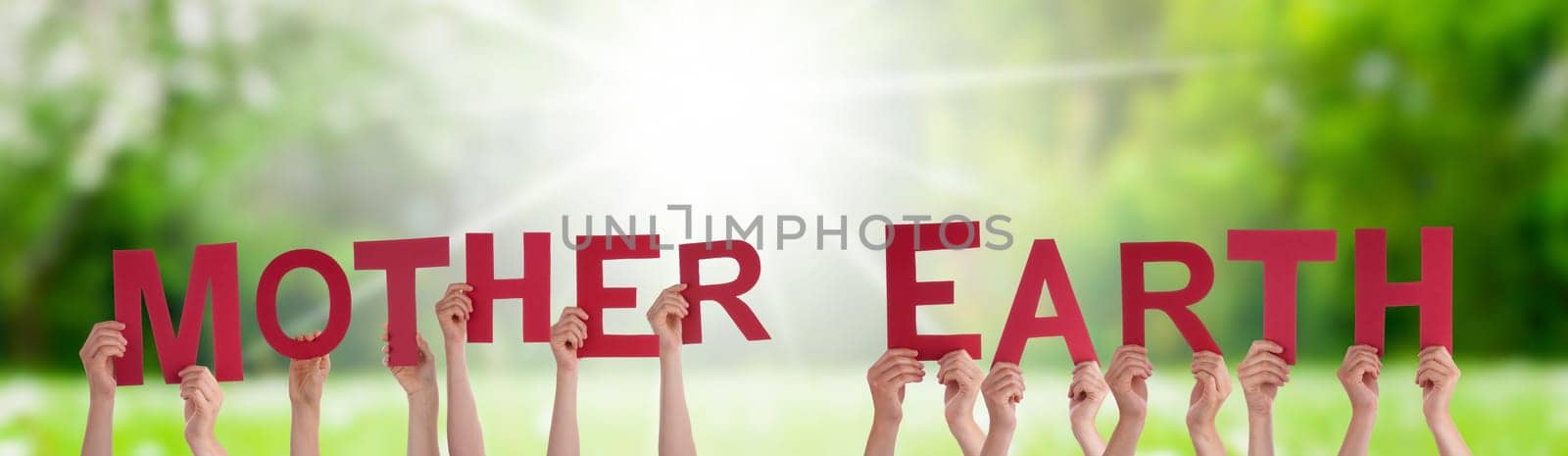 People Or Persons Hands Building English Word Mother Earth. Sunny Green Grass Meadow As Background.