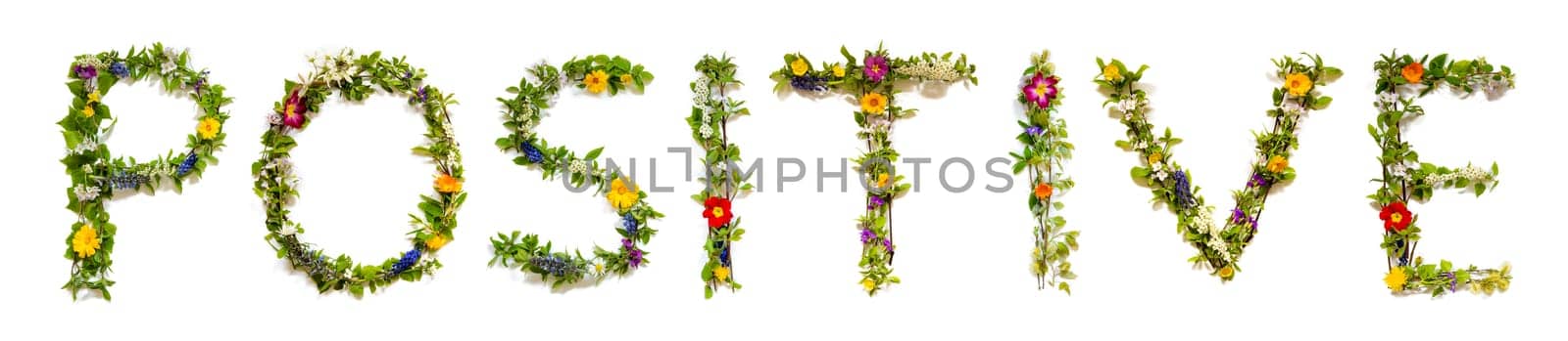 Blooming Flower Letters Building English Word Positive. Colorful Spring and Summer Blossoms. White Isolated Background.