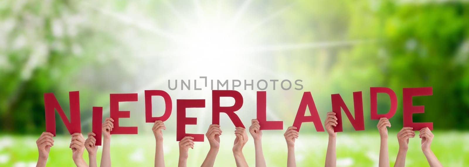People Or Persons Hands Building German Word Niederlande Means Netherlands. Sunny Green Grass Meadow As Background.