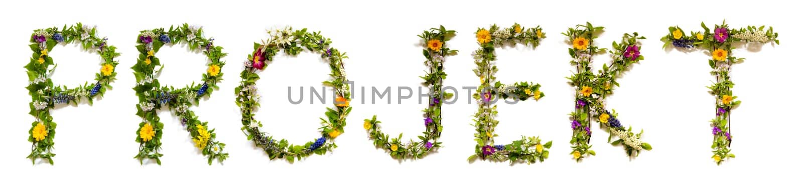 Blooming Flower Letters Building German Word Projekt Means Project. Colorful Spring and Summer Blossoms. White Isolated Background.