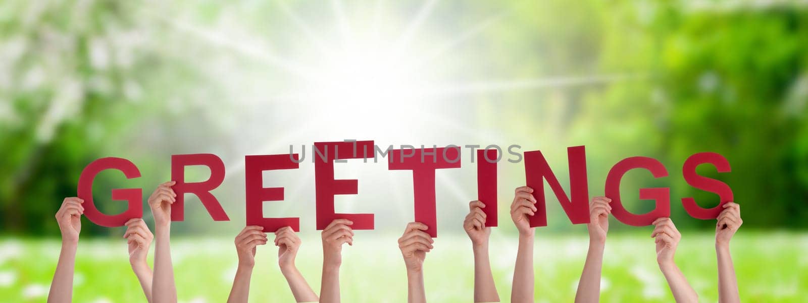 People Or Persons Hands Building English Word Greetings. Sunny Green Grass Meadow As Background.