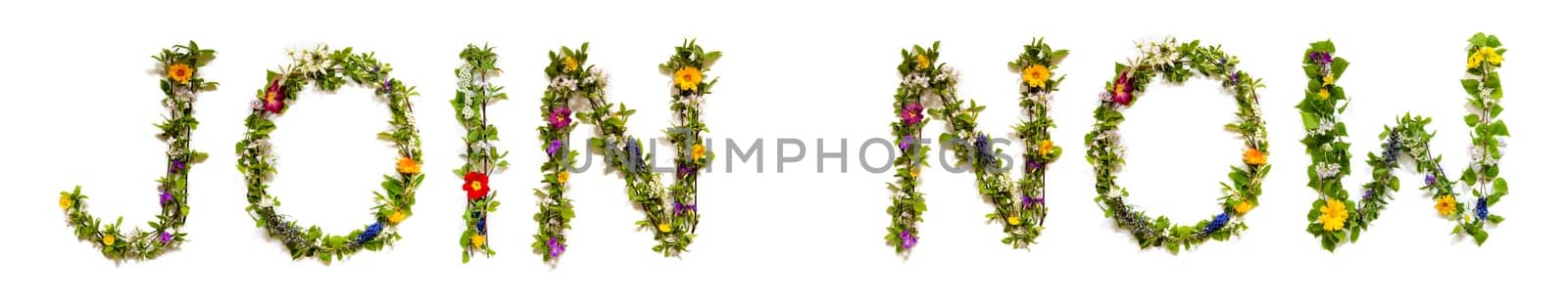 Blooming Flower Letters Building English Word Join Now. Colorful Spring and Summer Blossoms. White Isolated Background.
