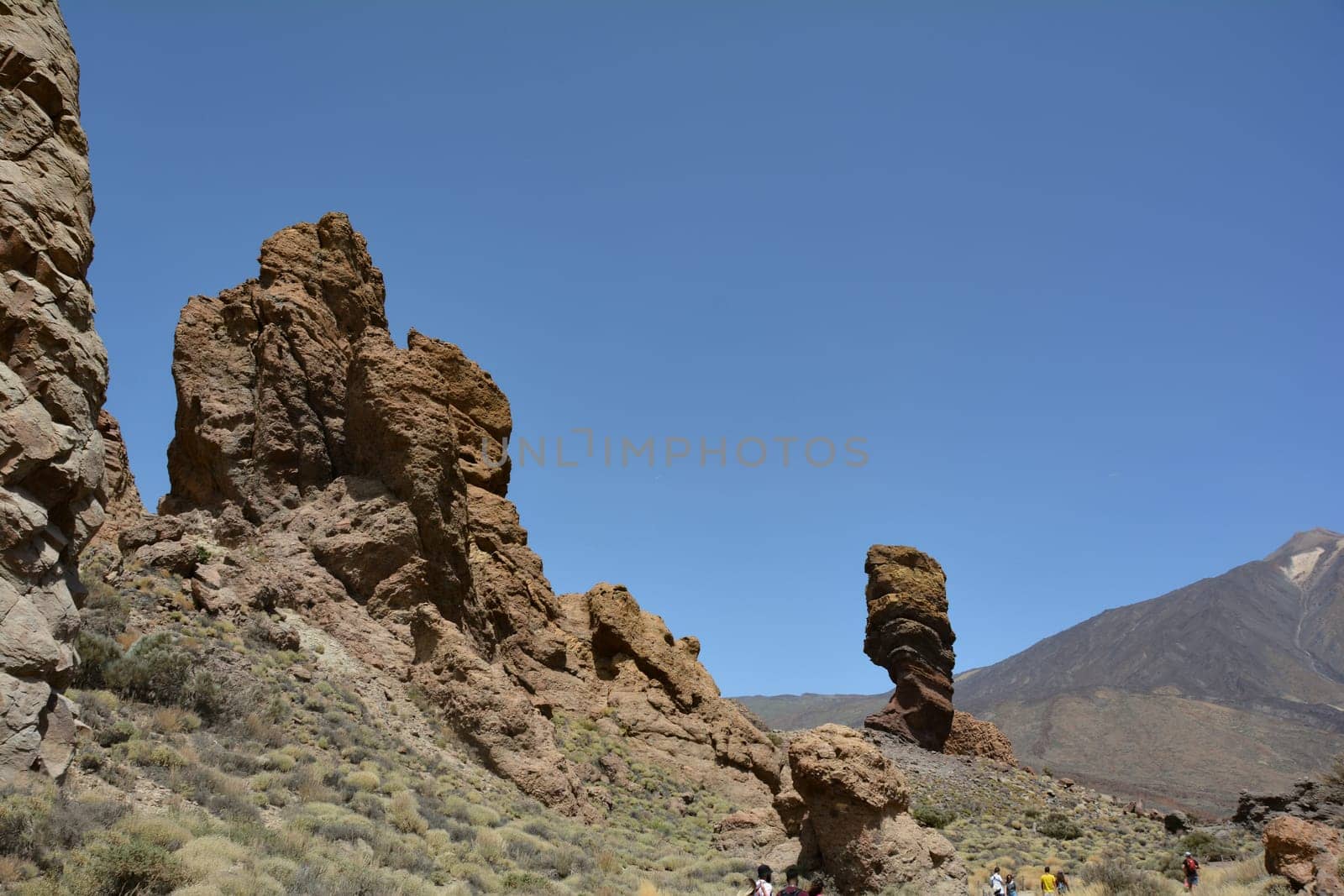 The bizarrely shaped Roque Cinchado rock of volcanic rock in Teide National Park on the Canary Island of Tenerife, Spain. With views of Mount Teide and blue skies.
