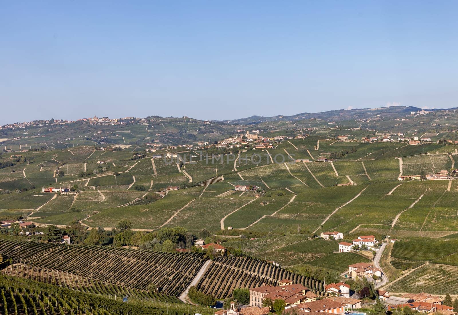 Langhe vineyards near Barolo Unesco Site, Piedmont, Italy