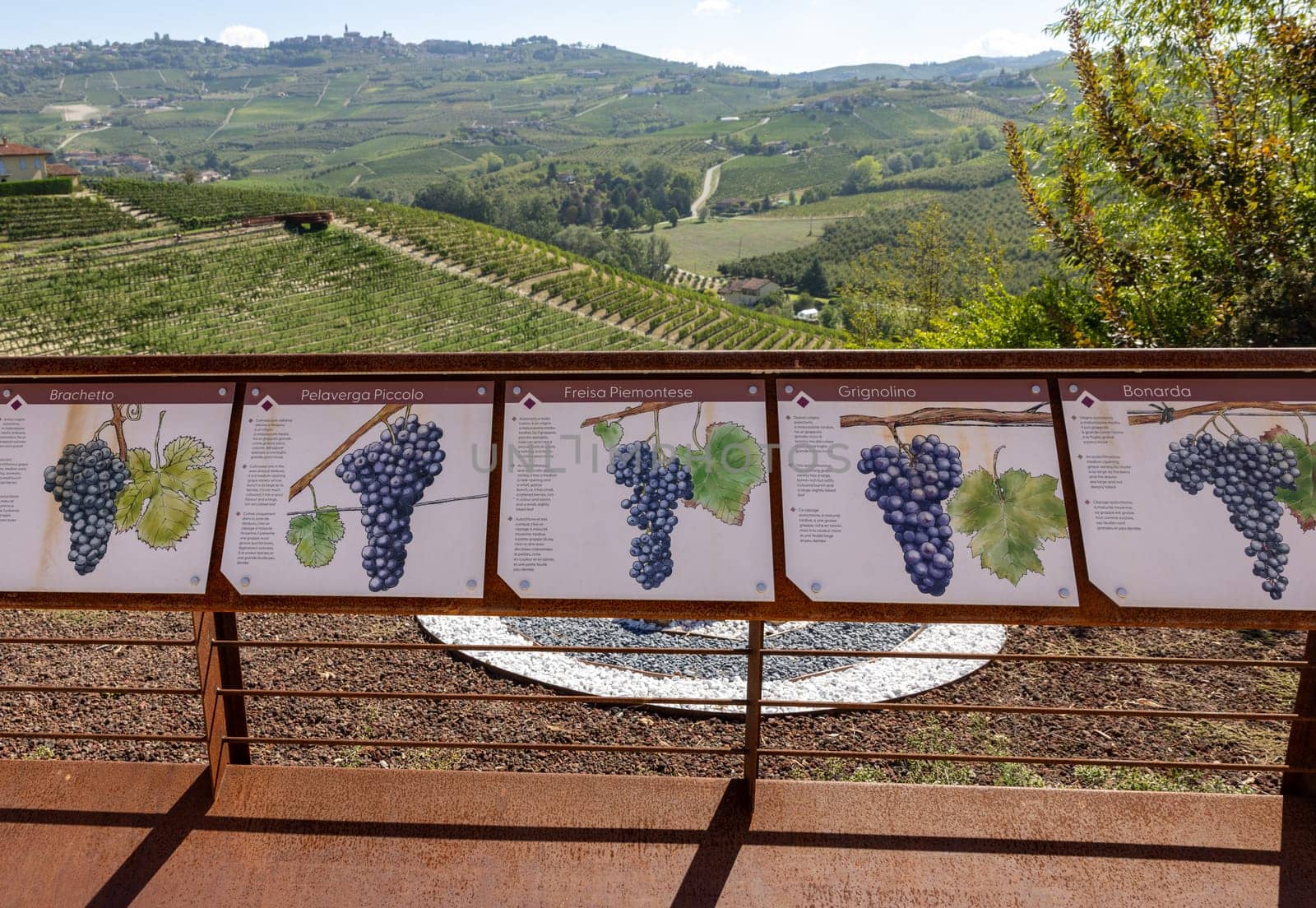Grinzane Cavour, Italy - Sept 9, 2022: Educational boards in the garden of the Grinzane Cavour castle informing about grape varieties in the Langhe region and how they are grown