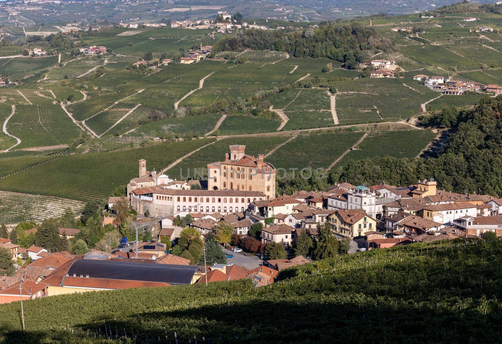The town of Barolo, with the Falletti castle, surrounded by vineyards in Langhe region. Piedmont, Italy