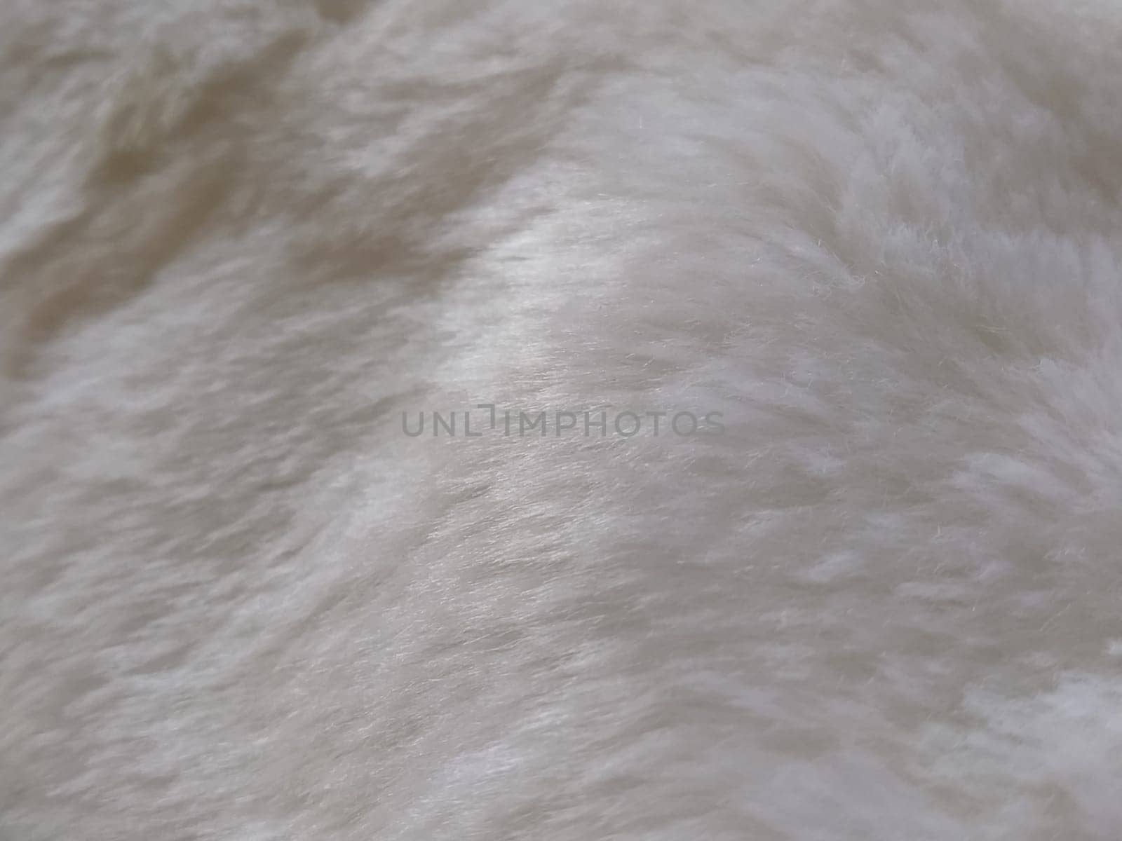 White faux fur. Close-up. Partially defocused photo. Fluffy villi.