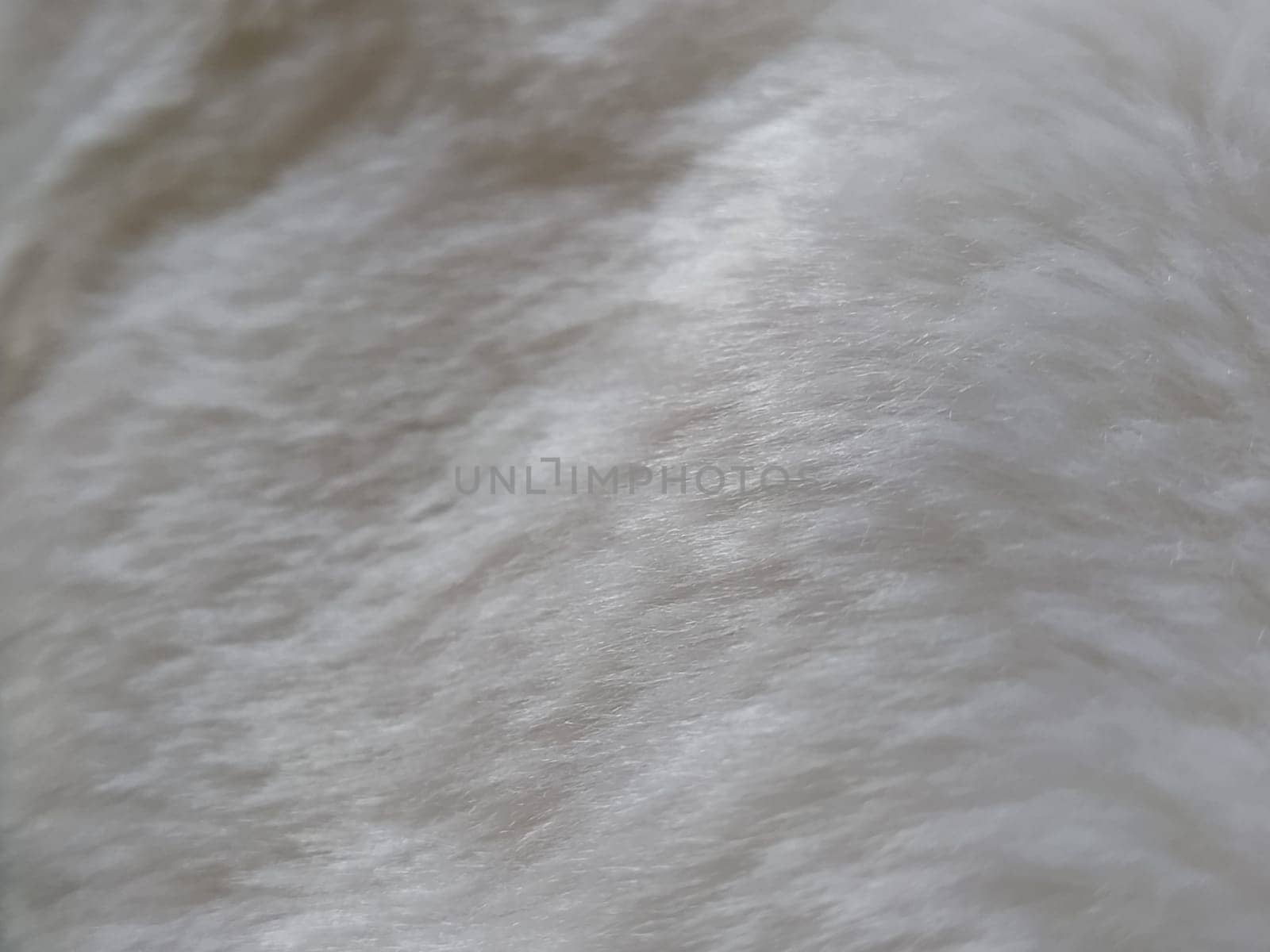 White faux fur. Close-up. Partially defocused photo. Fluffy villi.