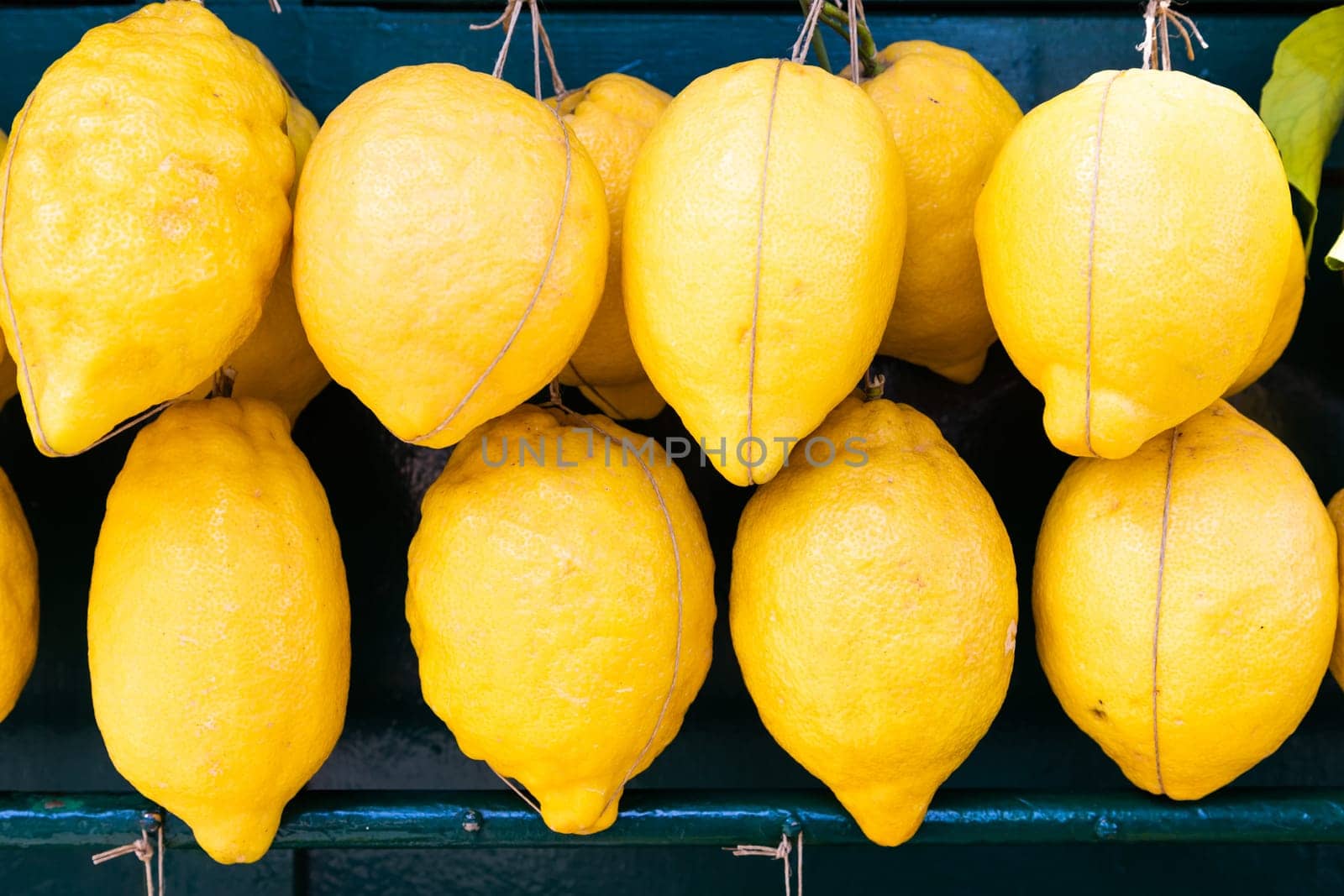 Group of lemons. Concept of natural food, health, freshness