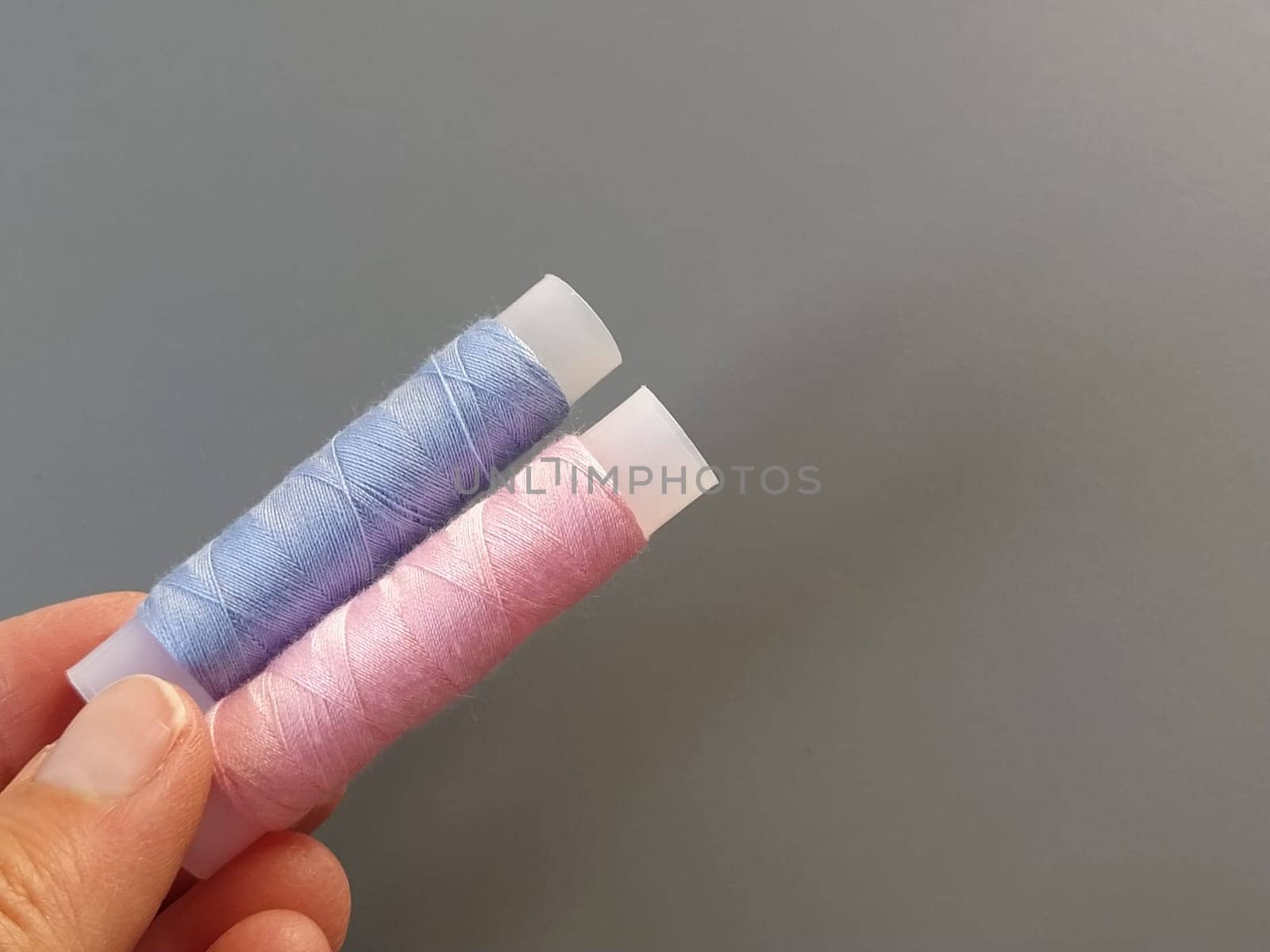 Spools of pink and blue thread on a woman's hand. Textile industry. Gray background.