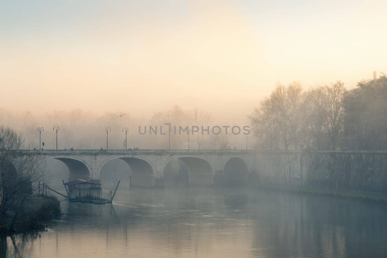 Fog on Tiber river