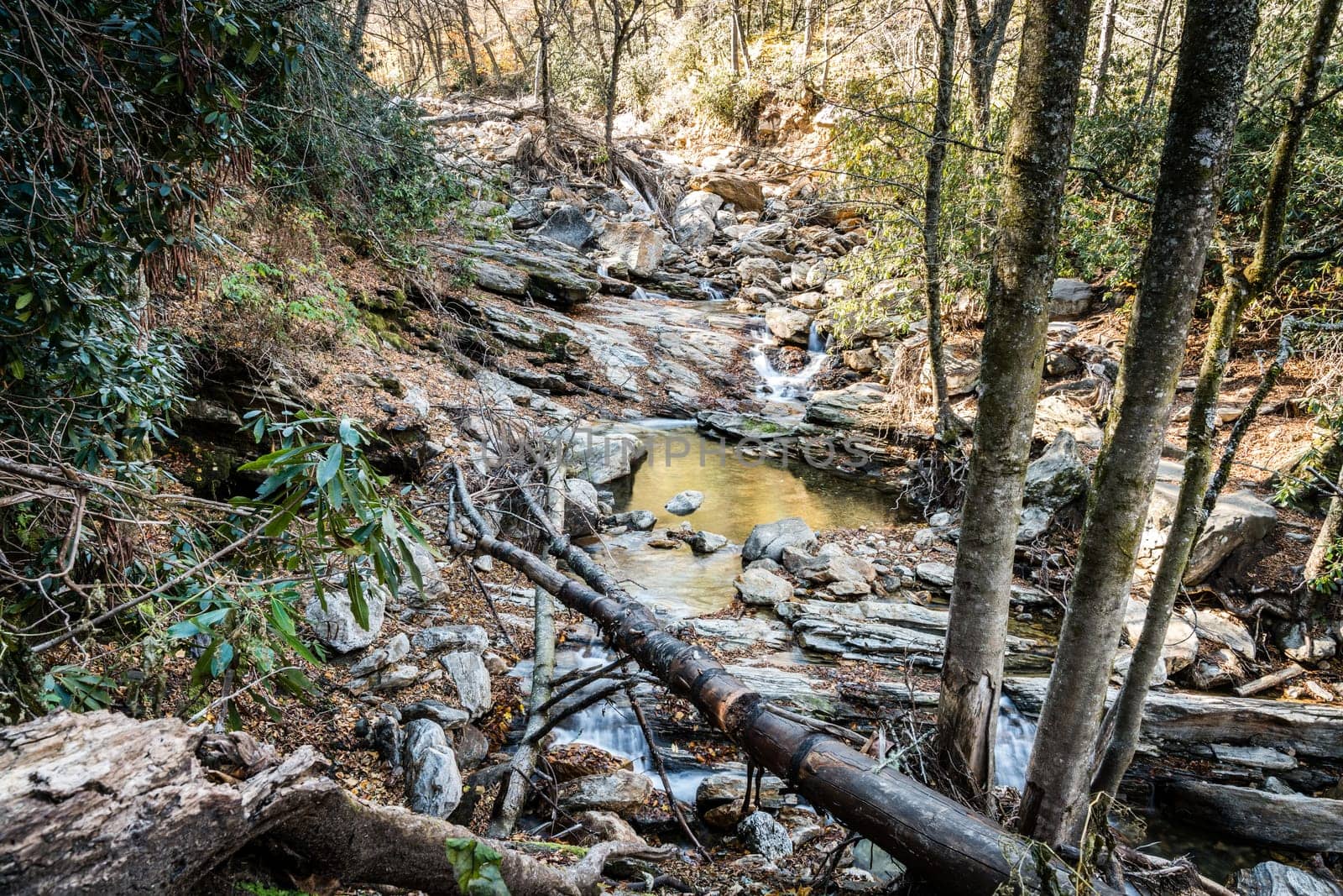 Scenic view of cascades in Yellowstone Prong creek near Blue Ridge Parkway in North Carolina
