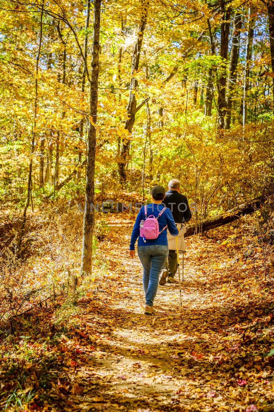 Senior couple is hiking in the woods in North Carolina in fall