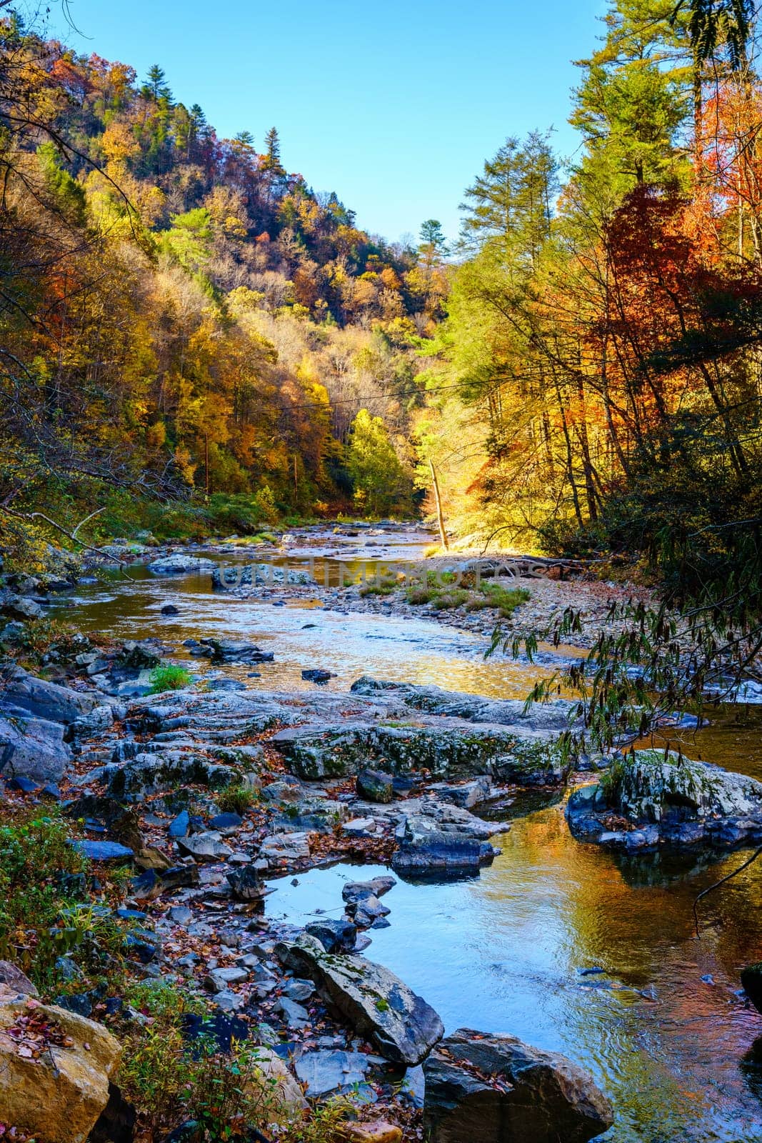Scenic view of Big Laurel Creek in North Carolina in fall