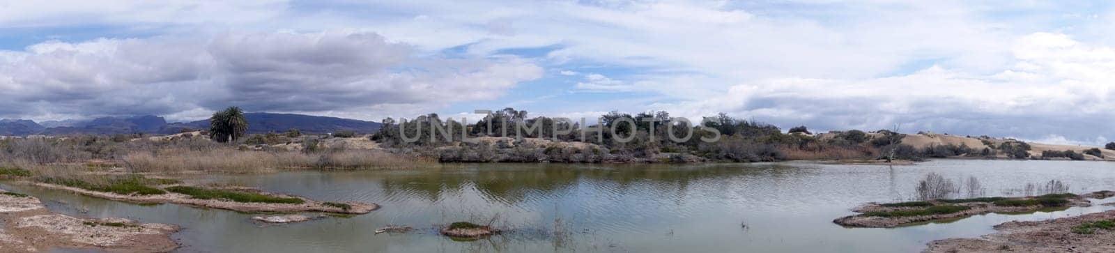 Vogelschutzgebiet Charco de Maspalomas, Gran Canaria, Spanien, Maspalomas