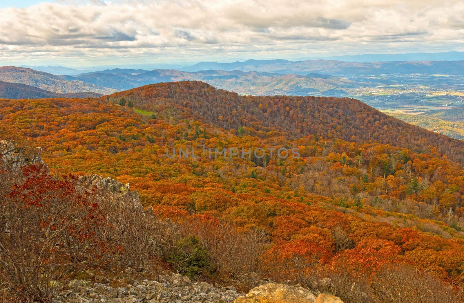 Changing Colors on a Mountain Ridge in Shenandoah National Park in Virginia