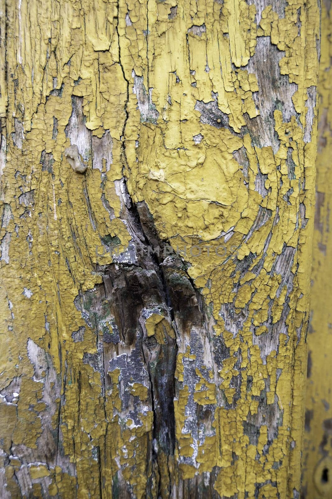 Detail of old wooden wall painted and damaged by the passage of time, ruin and abandonment